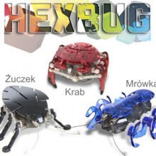 Robale HEXBUG - uczek