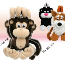 Maskotki askotki - Kotek