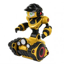 Mini Roborover