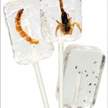 Lizaki insekty - Skorpion