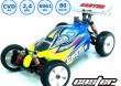 Auto Wyścigowe Caster 4x4