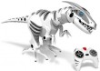 RoboRaptor