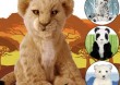 Robomaluchy Alive cubs - Miś polarny